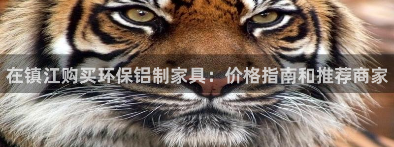 杏耀网页手机登录：在镇江购买环保铝制家具：价格指南和推荐商家
