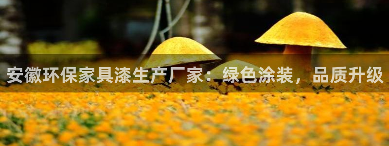 杏耀手机网页登录入口：安徽环保家具漆生产厂家：绿色涂装，品质