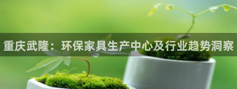 杏耀平台注册代理：重庆武隆：环保家具生产中心及行业趋势洞察