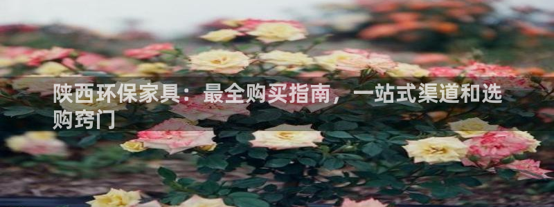 杏耀注册app：陕西环保家具：最全购买指南，一站式渠道和选
