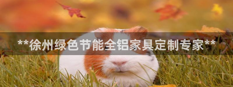 杏耀平台首页登录：**徐州绿色节能全铝家具定制专家**
