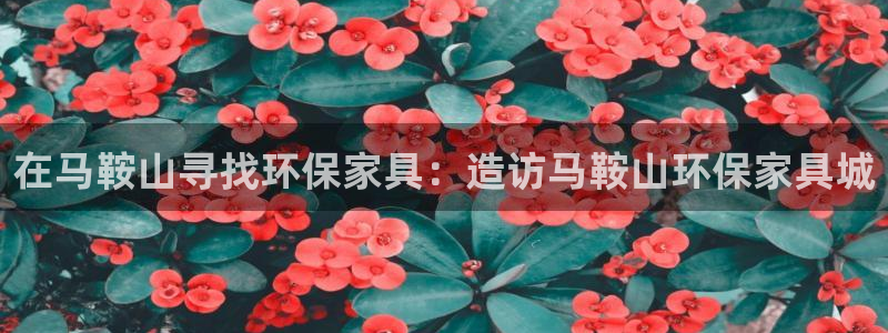 杏耀代理登录中心：在马鞍山寻找环保家具：造访马鞍山环保家具城
