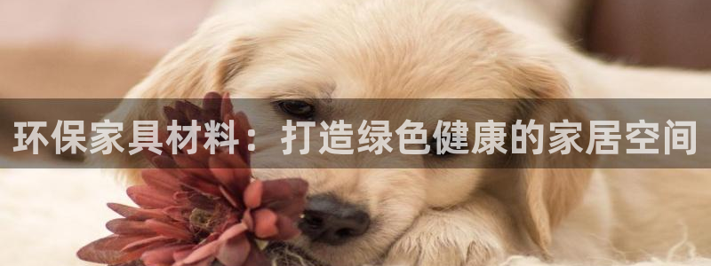 杏耀平台的专用通道：环保家具材料：打造绿色健康的家居空间