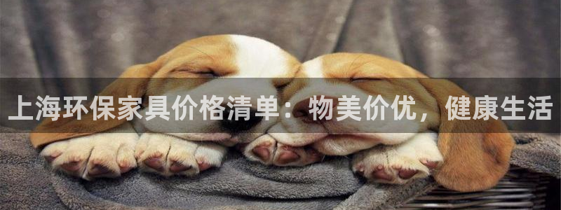 杏耀总代理：上海环保家具价格清单：物美价优，健康生活