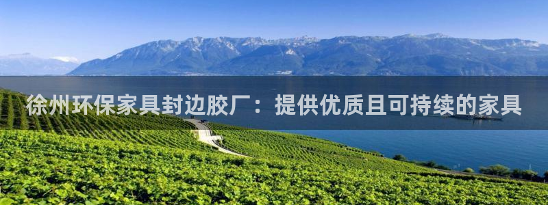 杏耀平台登录入口：徐州环保家具封边胶厂：提供优质且可持续的家