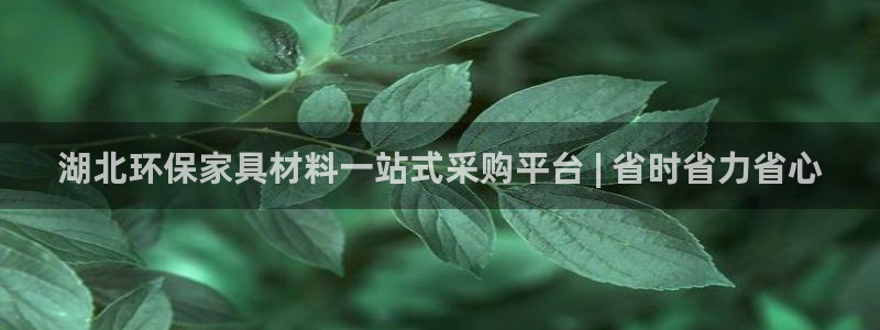 杏耀登入测速：湖北环保家具材料一站式采购平台 | 省时省力省
