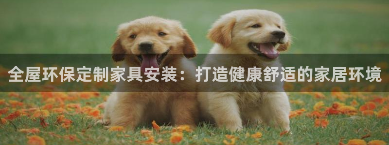 杏耀平台还在吗：全屋环保定制家具安装：打造健康舒适的家居环境
