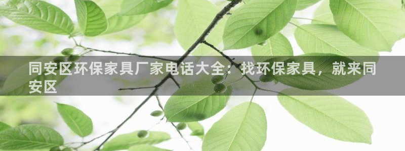 杏耀平台代理怎么赚钱快
