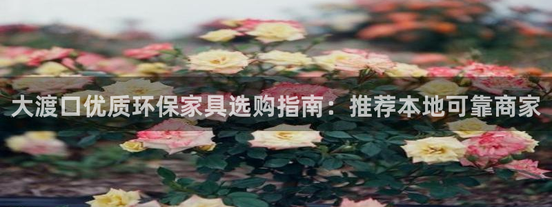杏耀官网网站中心：大渡口优质环保家具选购指南：推荐本地可靠商