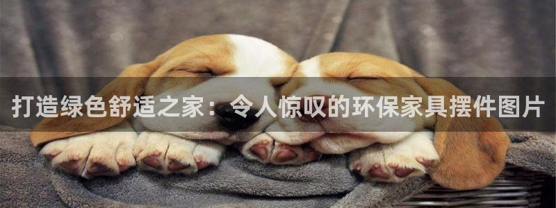 杏耀平台代理登录网址是多少：打造绿色舒适之家：令人惊叹的环保