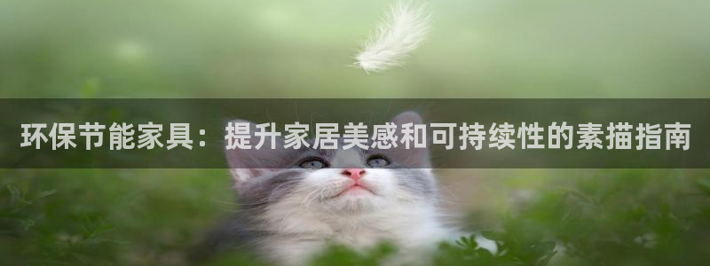 杏耀代理登录中心怎么进