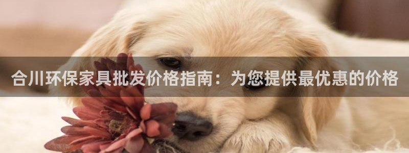 杏耀平台官网：合川环保家具批发价格指南：为您提供最优惠的价格