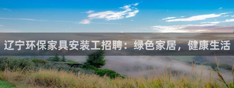 杏耀app怎样申请退款：辽宁环保家具安装工招聘：绿色家居，健