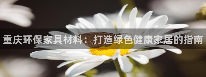 杏耀测速娱乐：重庆环保家具材料：打造绿色健康家居的指南