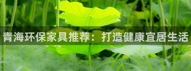 杏耀平台登录网站：青海环保家具推荐：打造健康宜居生活