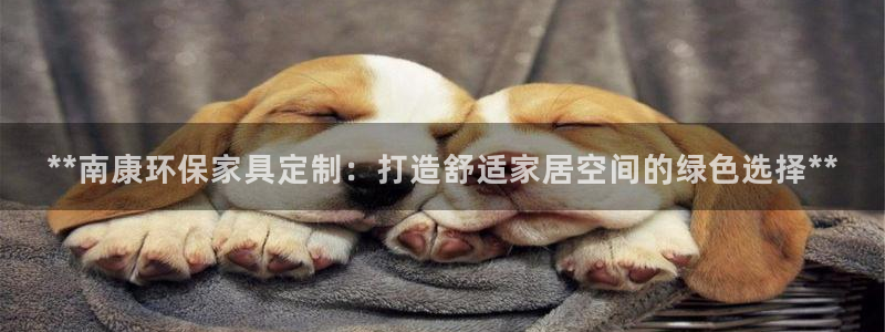 杏耀平台代理注册：**南康环保家具定制：打造舒适家居空间的绿