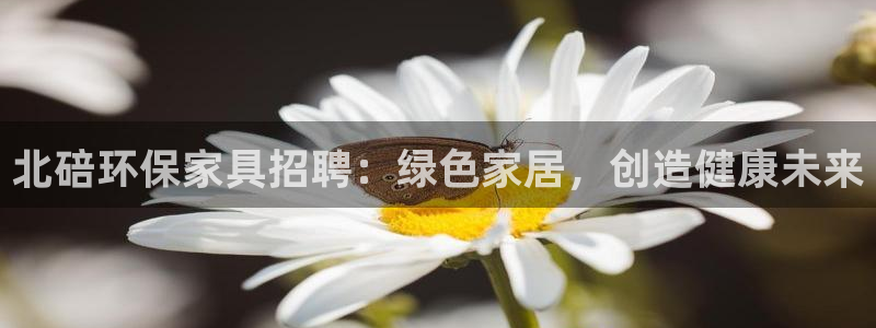 杏耀注册登录