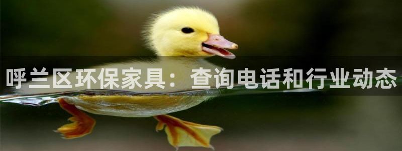 杏耀平台怎样：呼兰区环保家具：查询电话和行业动态