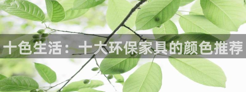 杏耀官网登陆
