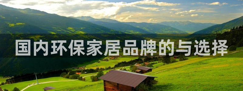 杏耀客户端登录：国内环保家居品牌的与选择