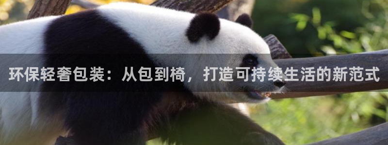 杏耀平台代理怎么赚钱快：环保轻奢包装：从包到椅，打造可持续生