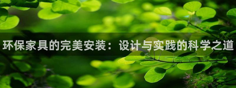 杏耀官网主管：环保家具的完美安装：设计与实践的科学之道