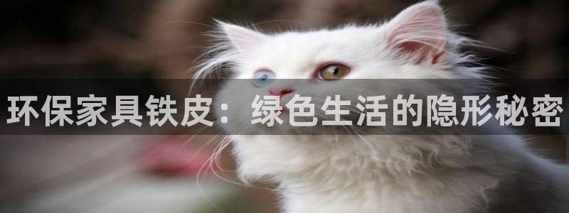 杏耀官网游戏：环保家具铁皮：绿色生活的隐形秘密