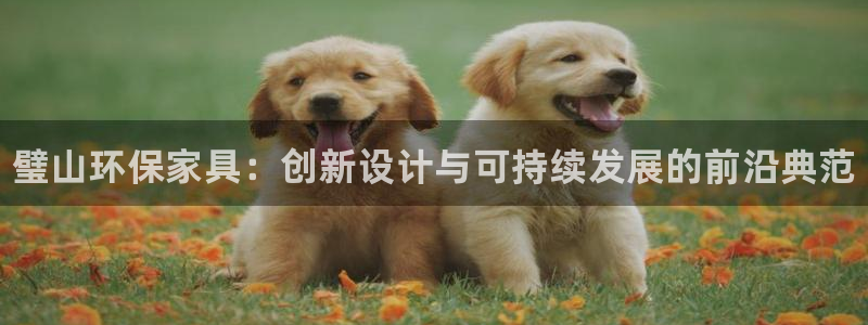 杏耀是什么平台