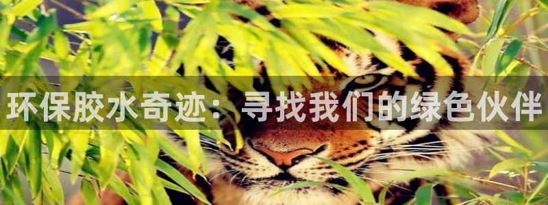 杏耀3代理：环保胶水奇迹：寻找我们的绿色伙伴